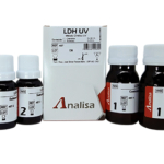 LDH UV
