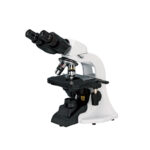Microscopio binocular BMM1000