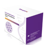 Kit de tipificación del virus del papiloma humano (HPV)